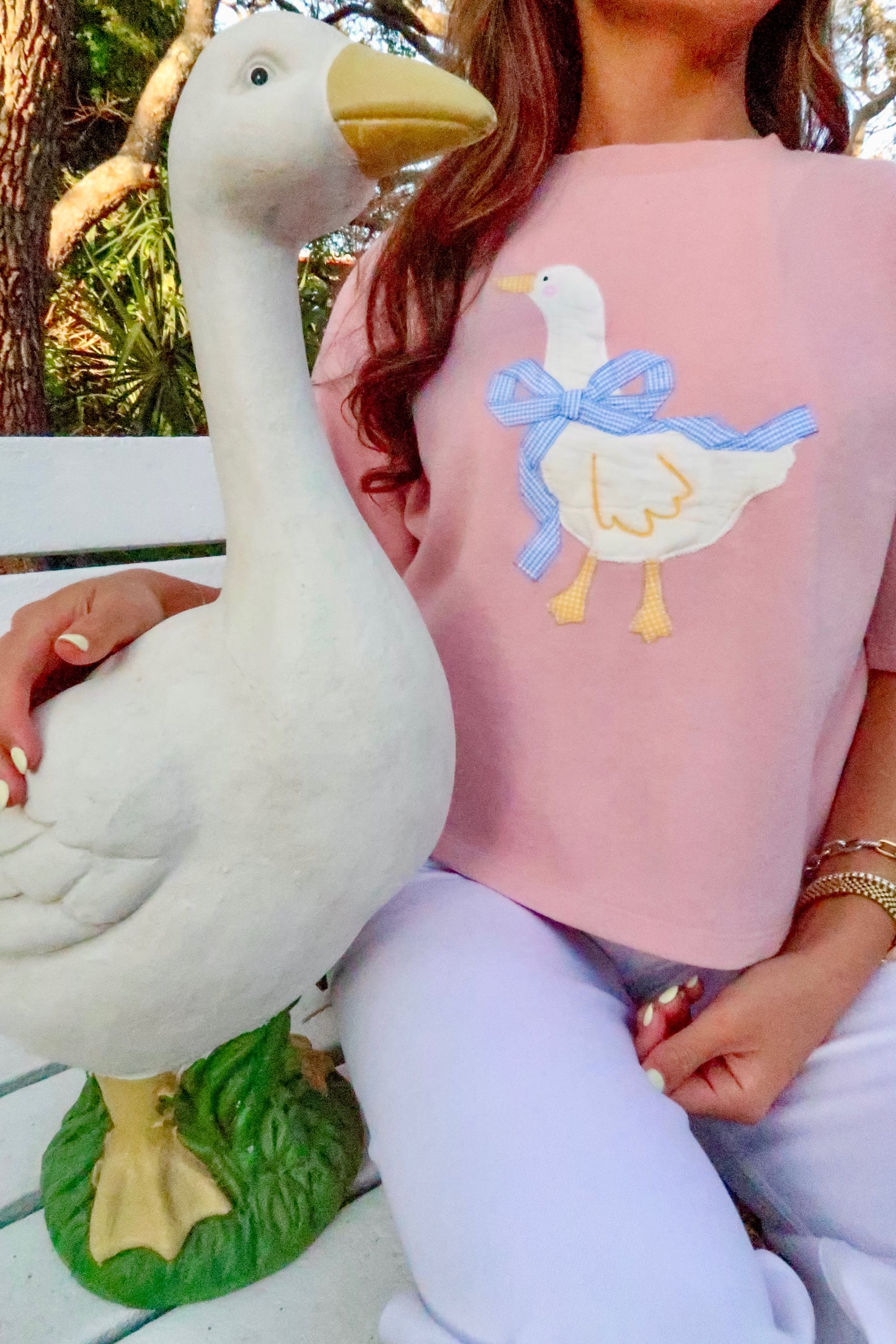 Silly Goose